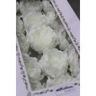 Fehér szappan bazsarózsa - 15db - 9 cm