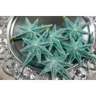 Jégkék karácsonyfadíszek - Csillag - 5 cm - 6 db/csomag