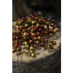 Zöldes-piros bogyók, ágon - 20 cm - 12 db 