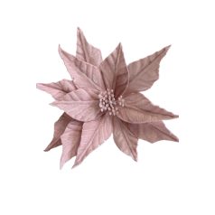 Rózsaszín bársony mikulásvirág - 25 cm  