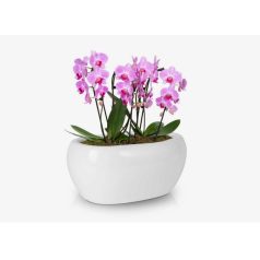 Kerámia kaspó - Moon fehér - 27x17x13 cm - Raktáron  