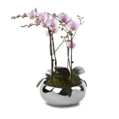   Kerámia kaspó - Moon króm - 14x6 cm, 19x8 cm, 24x10 cm - Raktáron