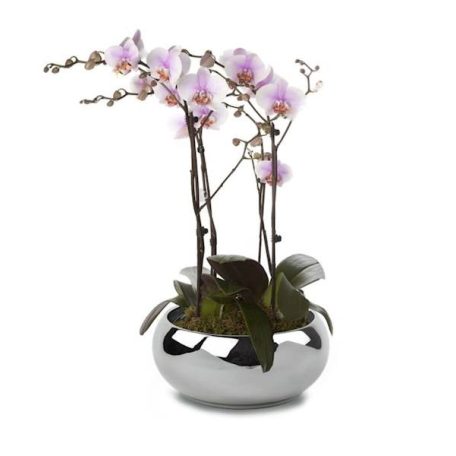 Kerámia kaspó - Moon króm - 14x6 cm, 19x8 cm, 24x10 cm - Raktáron