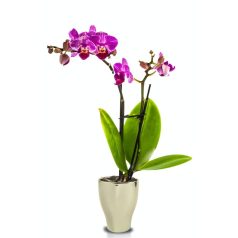 Orchidea kaspó - Moon - Arany - 14x18 cm - Raktáron