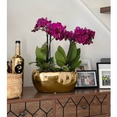 Kerámia kaspó Moon - Arany - 27x17x13 cm - Raktáron