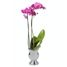 Kerámia kaspó - Moon - Ezüst - 15x21cm