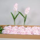 Jácint szálas - Rózsaszín - 38 cm