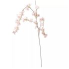 Barackvirág ág - 110 cm
