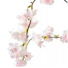 Barackvirág ág - 110 cm