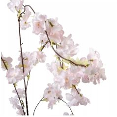 Barack ág - Világos rózsaszín - 110 cm