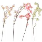 Barack ág mix - 110 cm