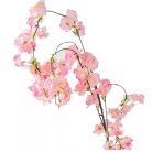 Barack ág mix - 110 cm