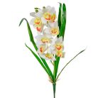 Orchidea szálas levéllel gumi - Fehér-sárga - 54 cm