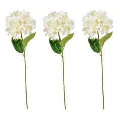 Hortenzia szálas - Fehér - 58 cm