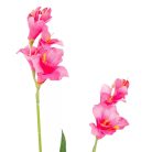 Frézia ág - 2 virágos - 4 színben - 55 cm