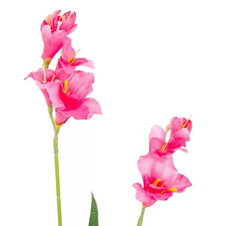 Frézia ág - 2 virágos - 4 színben - 55 cm