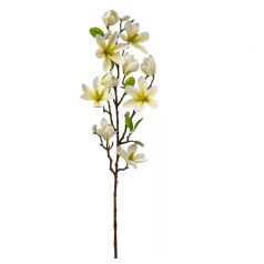 Magnólia ág gumi - Krém - 80 cm 