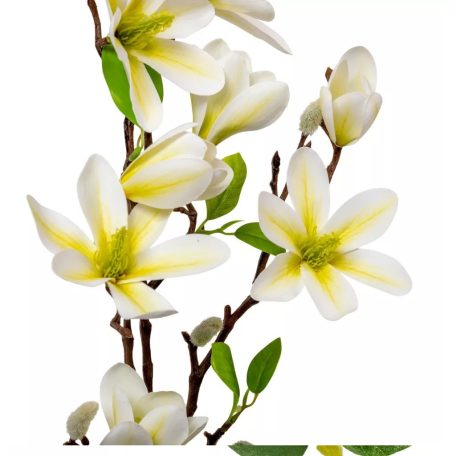 Magnólia ág gumi - Krém - 80 cm 