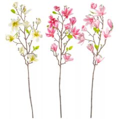Magnólia ág gumi mix - 80 cm 