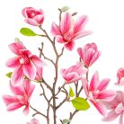 Magnólia ág gumi mix - 80 cm 