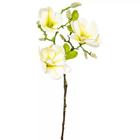 Magnólia ág gumi - 3 virágos - Fehér-sárga - 55 cm
