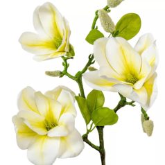 Magnólia ág gumi - 3 virágos - Fehér-sárga - 55 cm