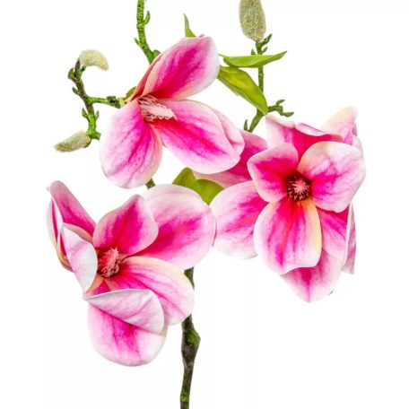 Magnólia ág gumi - 3 virágos mix - 55 cm