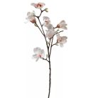 Magnólia ág gumi - 7 virágos - Fehér - 100 cm