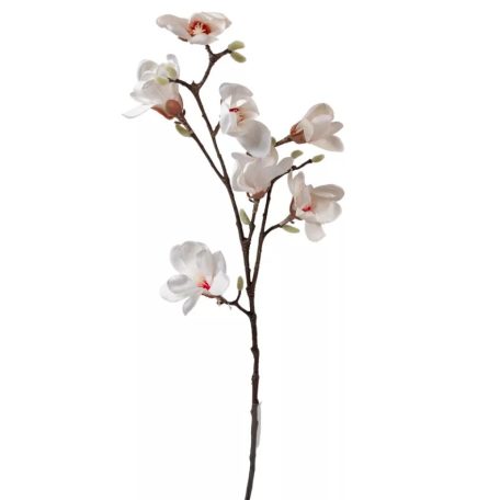 Magnólia ág gumi - 7 virágos - Fehér - 100 cm
