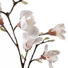 Magnólia ág gumi - 7 virágos - Fehér - 100 cm