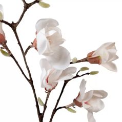 Magnólia ág gumi - 7 virágos - Fehér - 100 cm