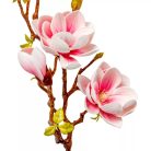 Magnólia ág polifoam - 3 virágos - Fehér-pink - 78 cm