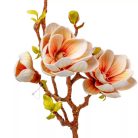 Magnólia ág polifoam - 3 virágos - Fehér-barack - 78 cm