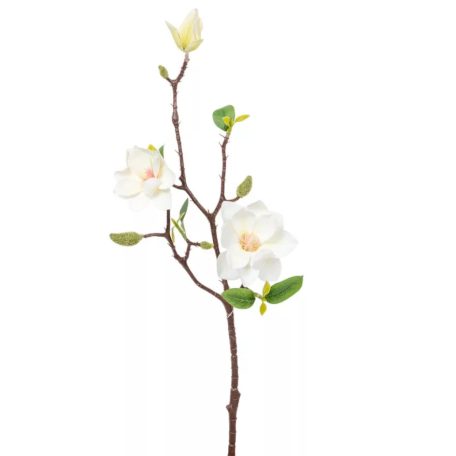Magnólia ág 3v. krém - 50 cm