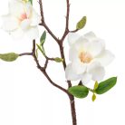 Magnólia ág 3v. krém - 50 cm