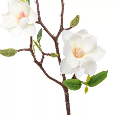 Magnólia ág 3v. krém - 50 cm