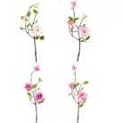 Magnólia ág - 3 virágos mix - 50 cm