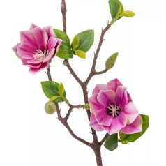 Magnólia ág - 3 virágos mix - 50 cm