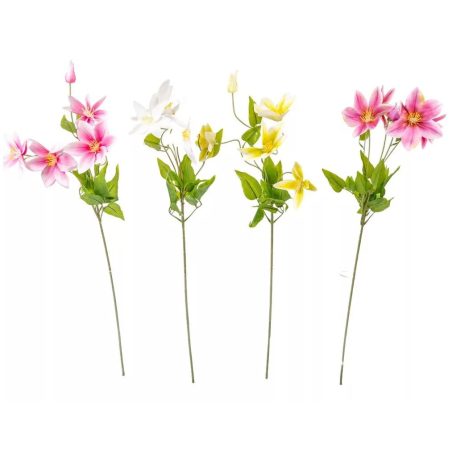 Klematisz ág gumi - 5 virágos - 78 cm