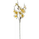 Magnólia ág - Fehér-sárga - 90 cm