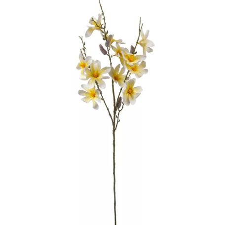 Magnólia ág - Fehér-sárga - 90 cm