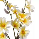 Magnólia ág - Fehér-sárga - 90 cm