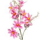 Magnólia ág gumi mix  - 90 cm