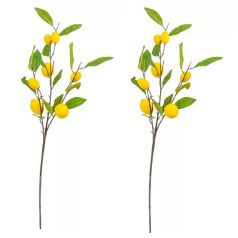 Citrom ág - 90 cm