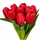 Tulipáncsokor - 9 fejes - Piros - 40 cm