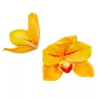 Orchidea virágfej polifoam - Sárga - 10 cm -  24db/csomag