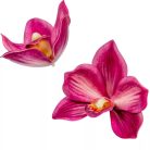 Orchidea virágfej polifoam - Sötétrózsaszín - 10 cm - 24 db/csomag