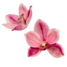 Orchidea virágfej polifoam - Rózsaszín - 10 cm - 24 db/csomag