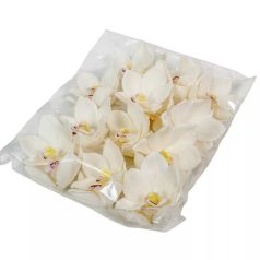 Orchidea virágfej polifoam - Fehér - 10 cm - 24 db/csomag