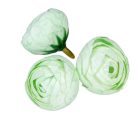 Boglárka virágfej - Menta - 3 cm